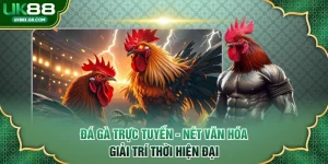 Đá gà trực tuyến