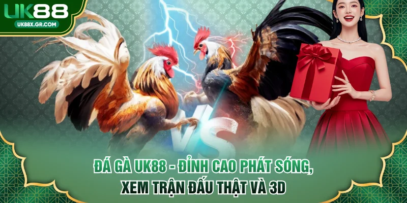 Đá Gà UK88 - Đỉnh Cao Phát Sóng, Xem Trận Đấu Thật Và 3D