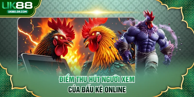 Điểm thu hút người xem của đấu kê online