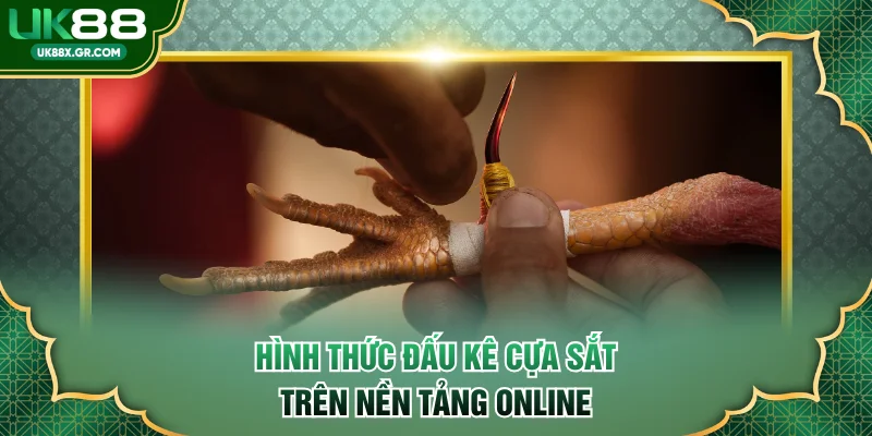 Hình thức đấu kê cựa sắt trên nền tảng online